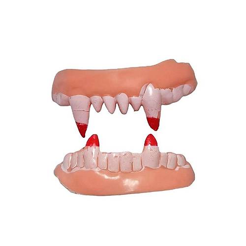 �ift Damak Yumu�ak Vampir Di�leri 1 �ift