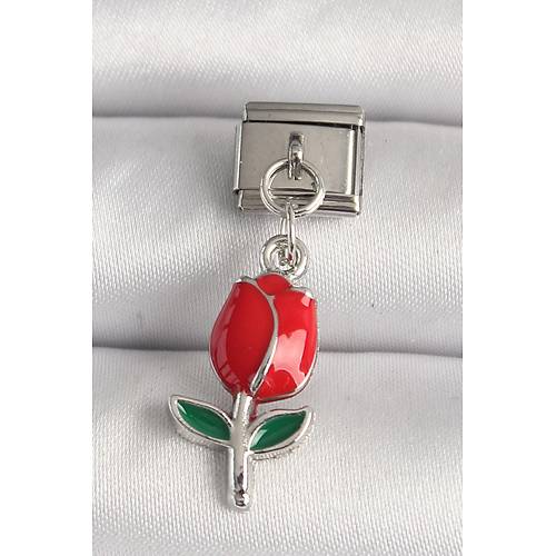 316L �elik G�m�� Renk K�rm�z� G�l Model Nomination Charm