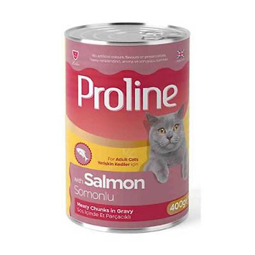 Somon Etli Sos ��inde Gravy Yeti�kin Kedi Konservesi 12 Adet 400 Gr