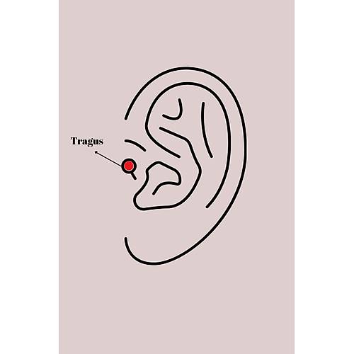 316L �elik G�m�� Renk Siyah Zirkon Ta� Detay �r�mcek A� Model Tragus Piercing