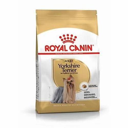 Yorkshire Terrier Adult Yeti�kin K�pek Mamas� 1,5 Kg