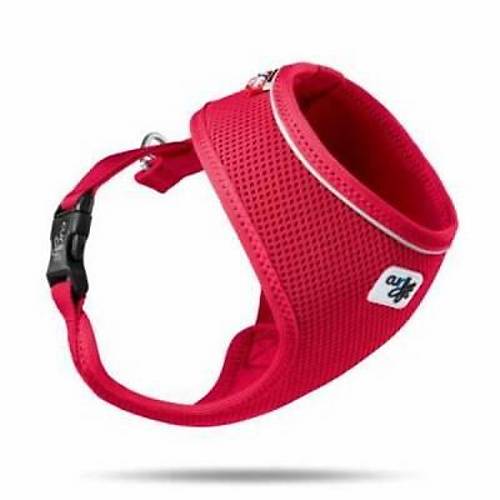 Basic Air-Mesh K�pek G���s Tasmas� Red XS