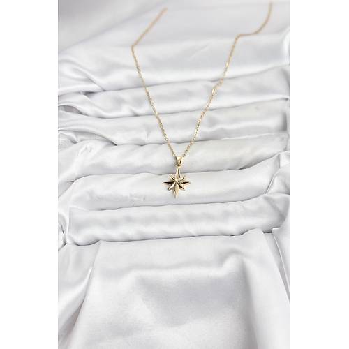 316L �elik Zincir Gold Renk Kutup Y�ld�z� Model Kad�n Kolye
