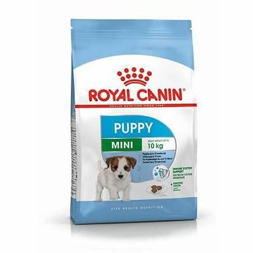 Mini Puppy K���k Irk Yavru K�pek Mamas� 4 Kg