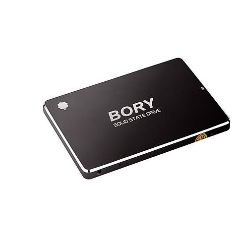 256 GB BORY SATA3 R500-C256G SSD 550/510 MBS (3 YIL GARANT�L�)