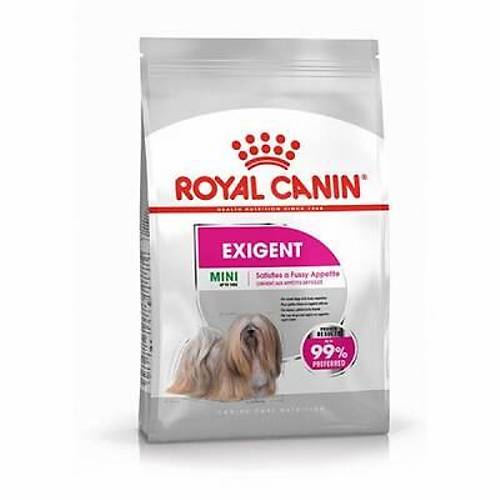 Ccn Mini Exigent K���k Irk Yeti�kin K�pek Mamas� 3 Kg