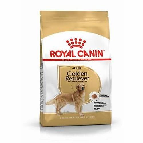 Golden Retriever Adult Yeti�kin K�pek Mamas� 12 Kg