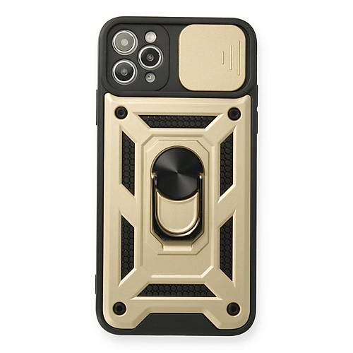 iPhone 11 Pro K�l�f Pars Lens Y�z�kl� Silikon - Gold
