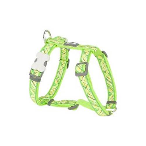 Flanno Desenli Lime K�pek G���s Tasmas� Medium 20 Mm
