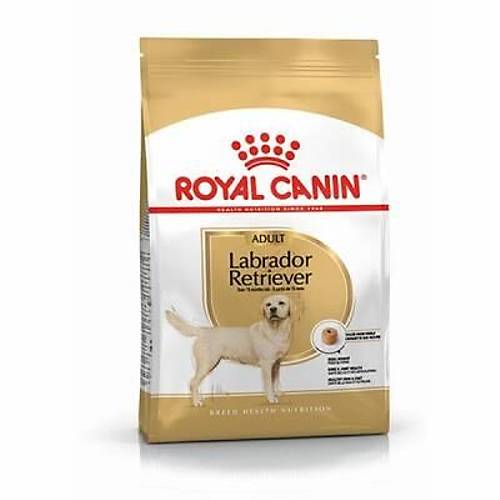 Labrador Retriever Adult Yeti�kin K�pek Mamas� 12 Kg