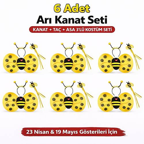 6'l� Ar� Kost�m Seti � Kanat Ta� Asa