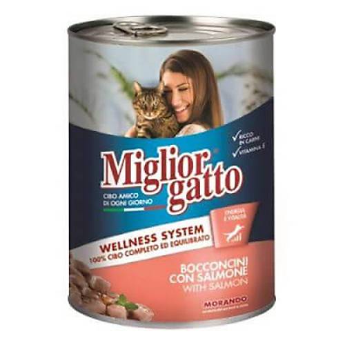 Gatto Somon Bal�kl� Yeti�kin Kedi Konservesi 405 Gr