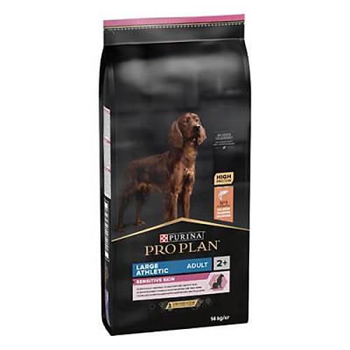 Large Atletic Sens�t�ve Skin Somonlu B�y�k Irk Yeti�kin K�pek Mamas� 14 Kg