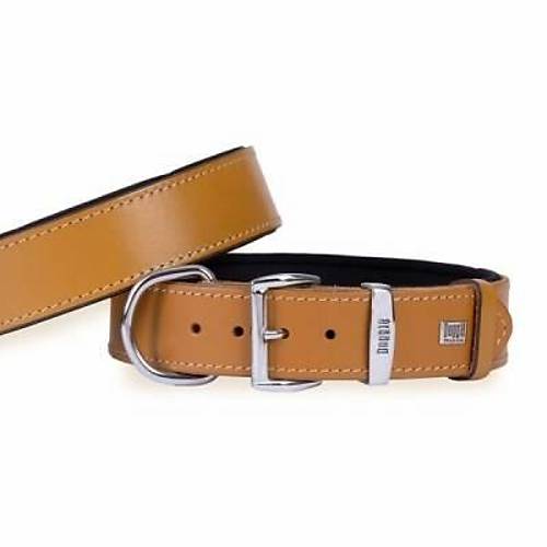 Konfor Deri K�pek Boyun Tasmas� Camel 4x47 55 Cm