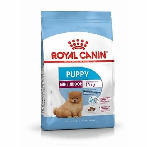 Mini Indoor Puppy K���k Irk Yavru K�pek Mamas� 1,5 Kg