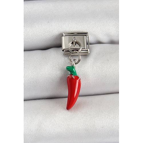 316L �elik G�m�� Renk Kapya Biber Model Nomination Charm