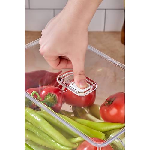 2'li Battal Boy Vakum D��meli Kapakl� Dolap ��i Organizeri & K�r�lmaz D�zenleyici Kutu (9Lt)