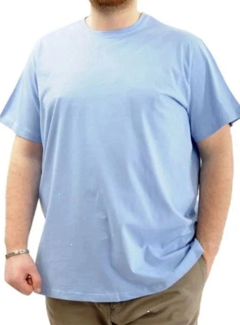Büyük Beden Erkek T-shirt Basic 20031 mavi