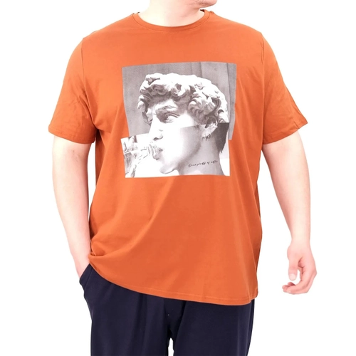 B�y�k Beden Erkek T-Shirt Bisiklet Yaka STATUE 25027 Tar��n