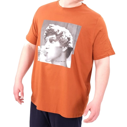 B�y�k Beden Erkek T-Shirt Bisiklet Yaka STATUE 25027 Tar��n