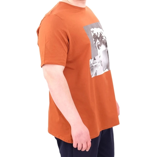 B�y�k Beden Erkek T-Shirt Bisiklet Yaka STATUE 25027 Tar��n