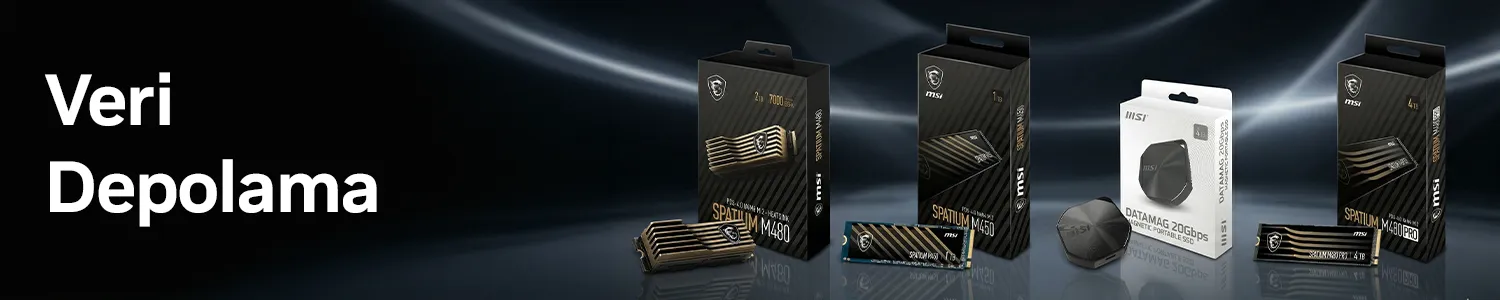 MSI SSD Depolama