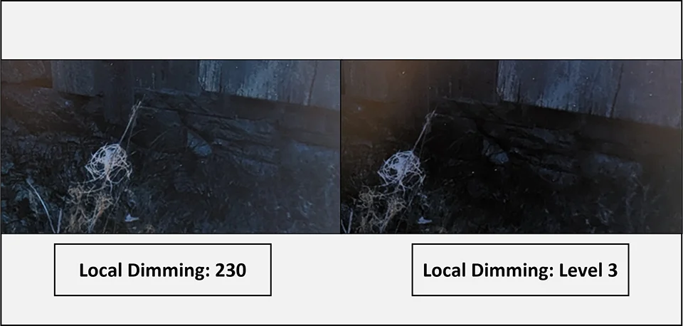 Local Dimming Level 3