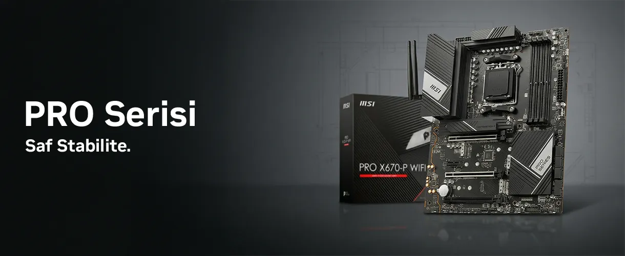 MSI PRO Serisi