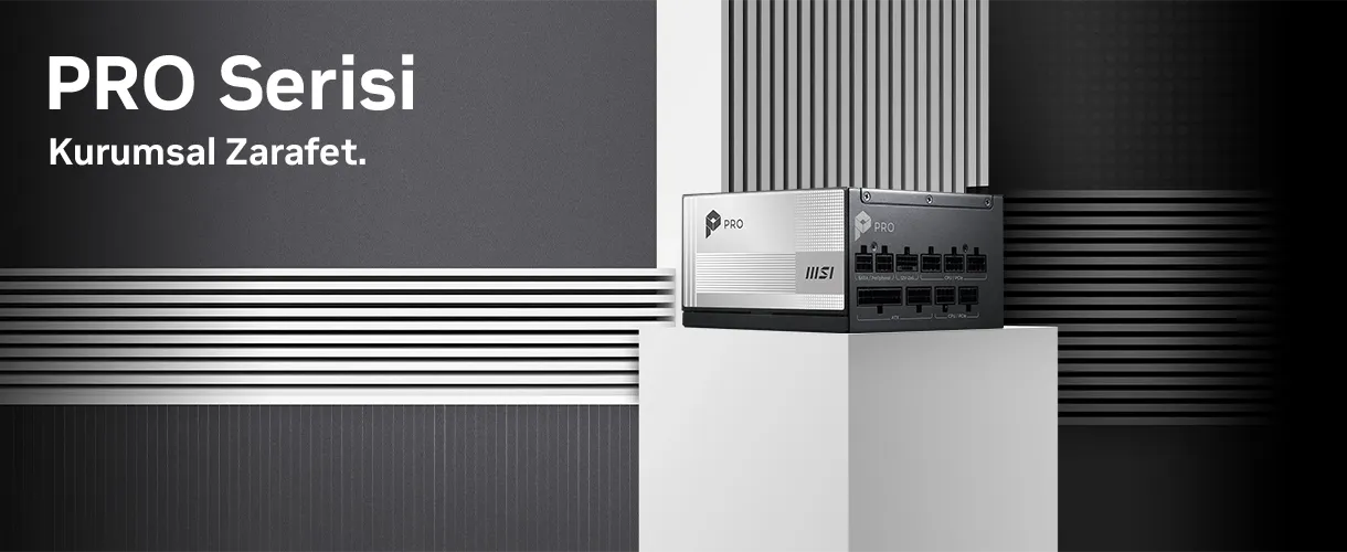 MSI PRO Serisi
