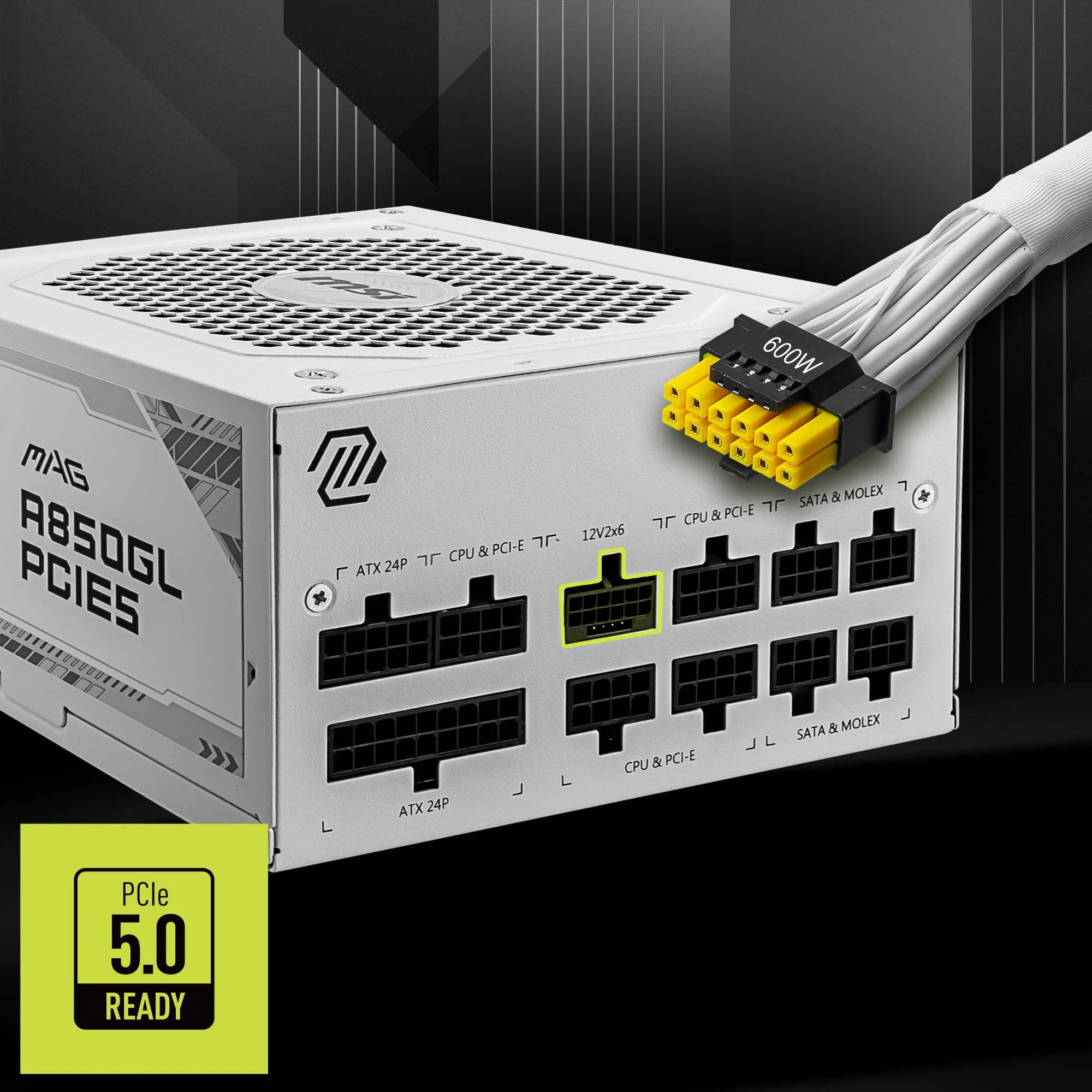 Document PCIe 5.0 GPU Deste�i Bu PSU, Yerle�ik 16 pin (12V2x6) yerle�ik PCIe konnekt�r� �