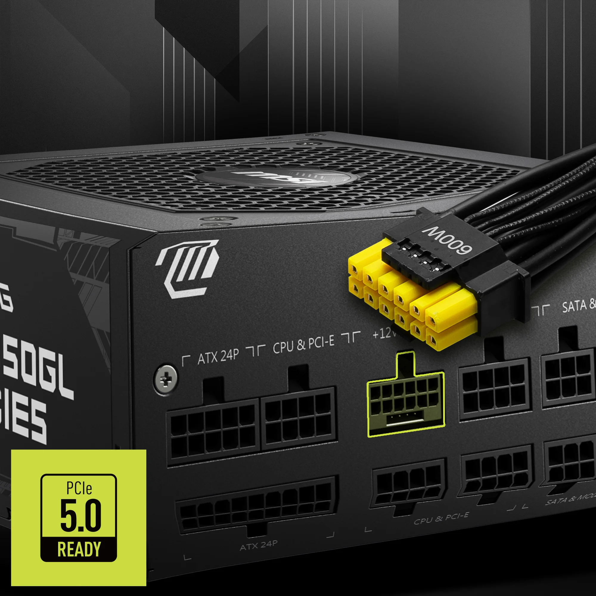 Document PCIe 5.0 GPU Deste�i MSI MAG A850GL PCIE5 g�� kayna�� ekstra GPU g�� giri�leri (