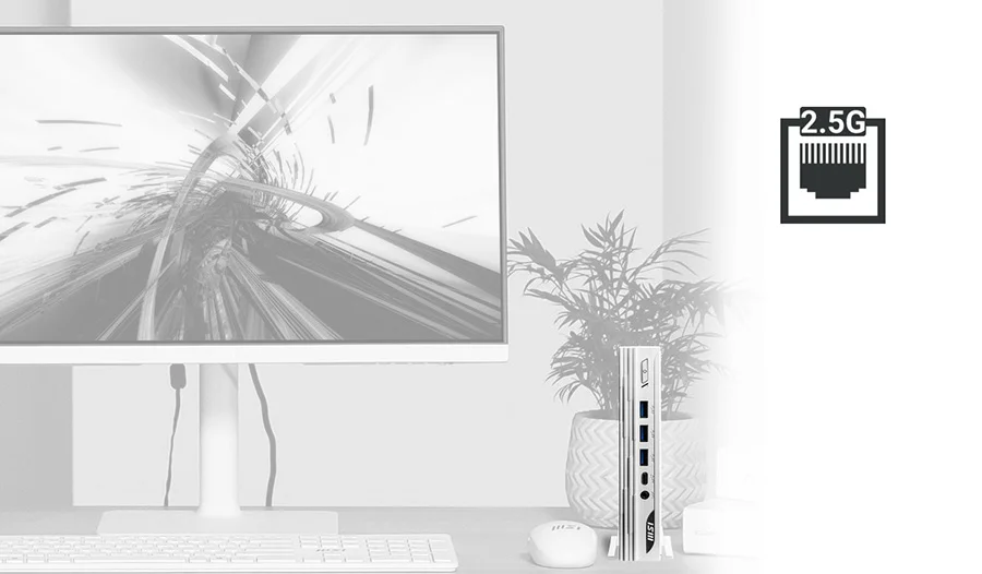 PRO DP10 13M-001EU pro dp10 13m 001eu 2 5g lan ile dosya ve islerinizi aktarin
