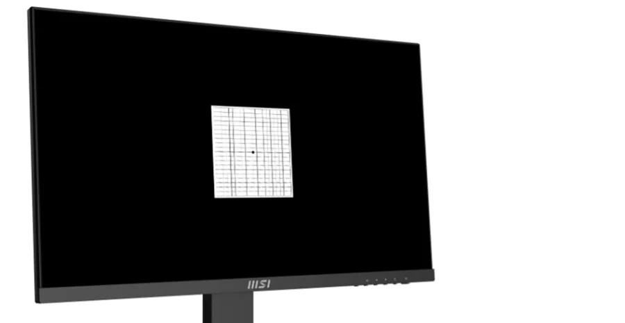 pro mp243xw eye q check amsler grid