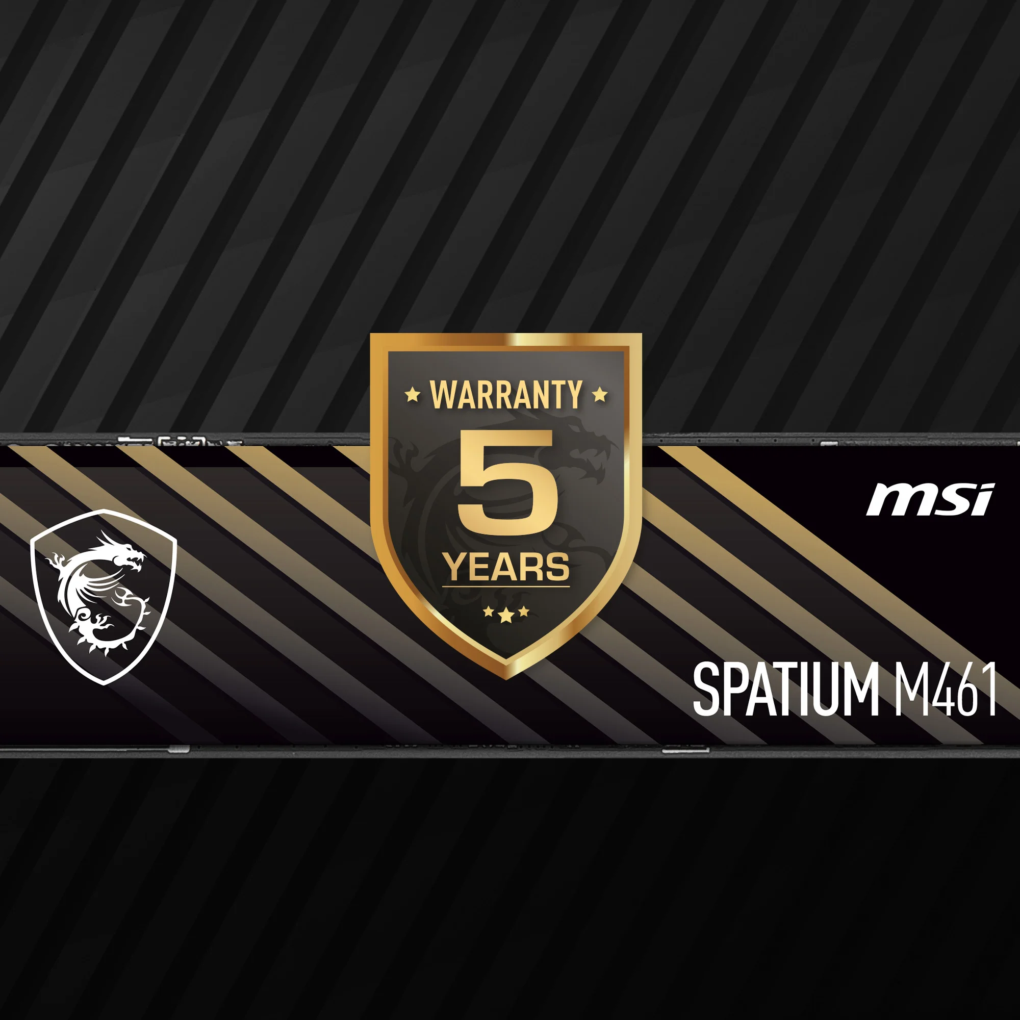 Document 5 YIL GARANT� MSI, 5 y�ll�k kapsaml� garantiyle SPATIUM SSD'lerin kalitesini ve