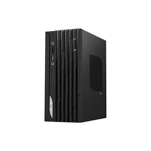 MSI PRO DP20Z 5M-014TR RYZEN 5 5600G 8GB DDR4 256GB SSD W10PRO SIYAH DESKTOP PC