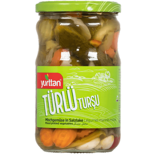 T�rl� Tur�u 660