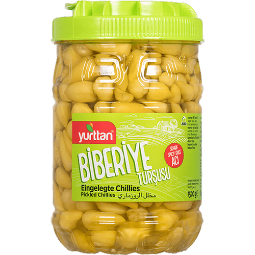 Biberiye Tur�usu 1500