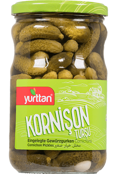 Korni�on Tur�usu 660