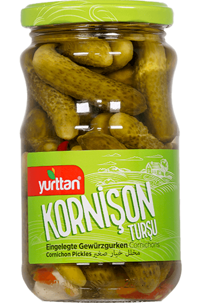 Korni�on Tur�usu 370