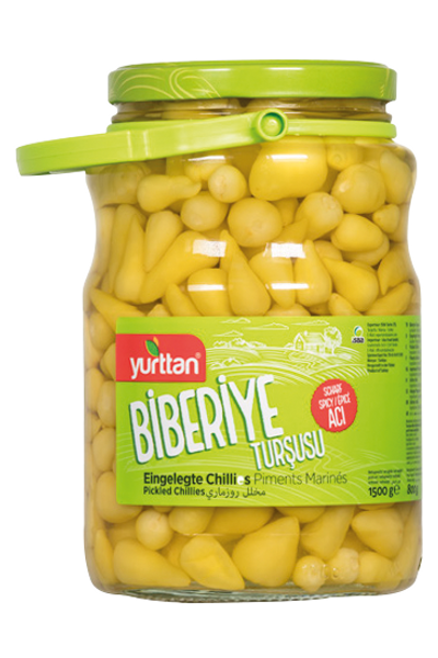 Biberiye Tur�usu 1700