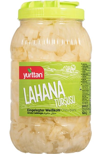 Lahana Tur�usu 3000