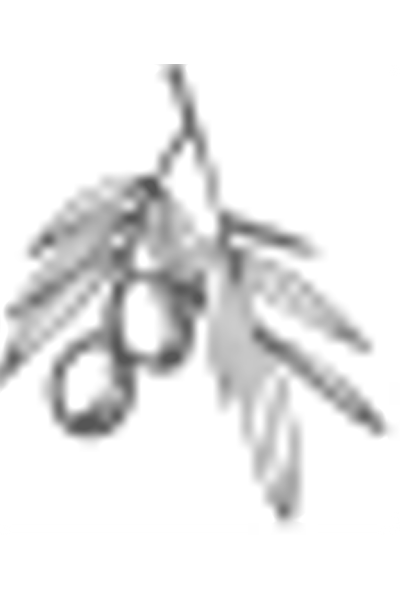 Cem Do�al Kuru Sele Siyah Zeytin 10 kg