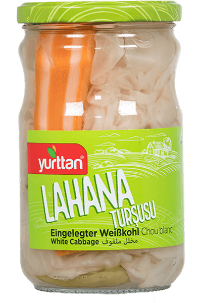 Lahana Tur�usu 660