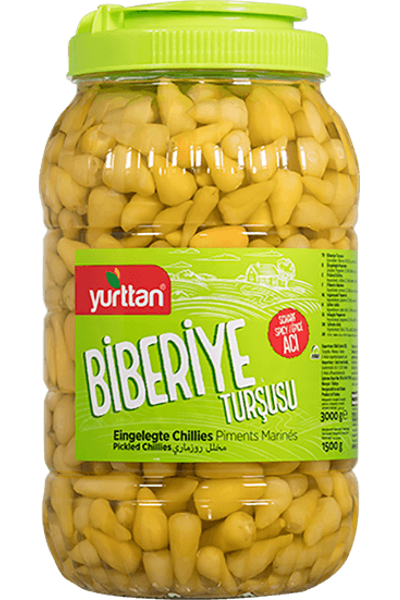 Biberiye Tur�usu 3000