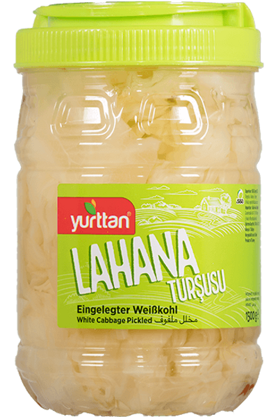 Lahana Tur�usu 1500