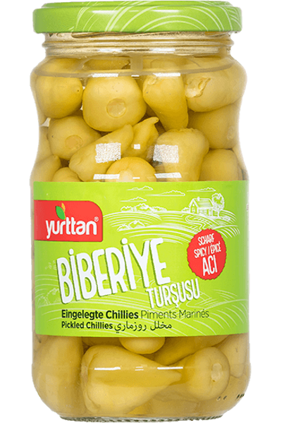 Biberiye Tur�usu 370