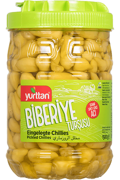 Biberiye Tur�usu 1500