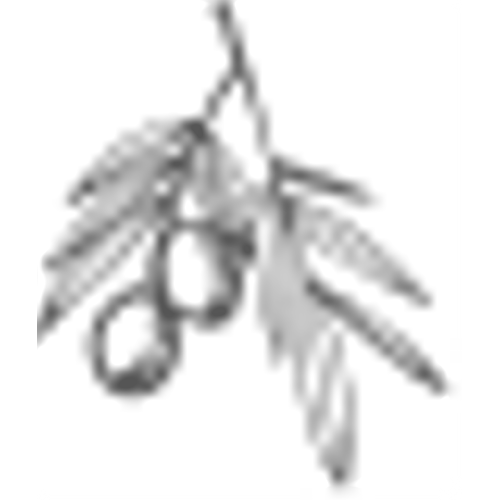 Cem Dilimli Ye�il Zeytin 10 kg