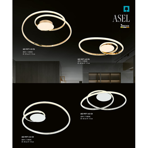 Asel Sark�t Avize