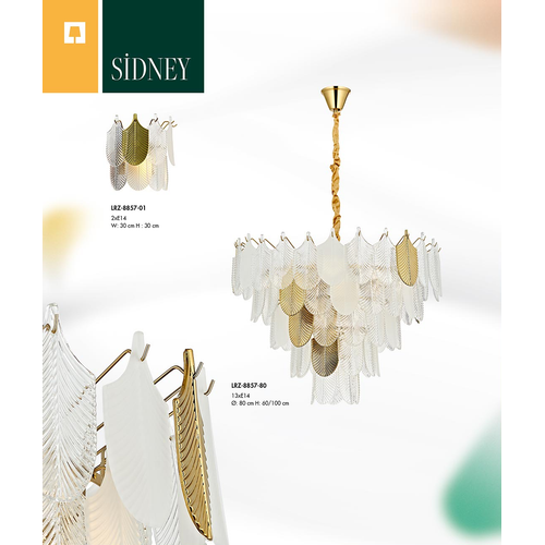 Sidney Sark�t Avize